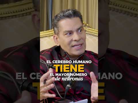 ¿Realmente entendemos cómo funciona nuestro cerebro? 🧠